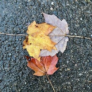 Meet your Posher, Meera